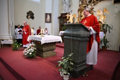 Svátost biřmování 4