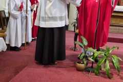 Svátost biřmování 33 Svátost biřmování 33