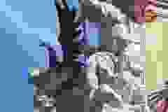 Dokončení Mariánského sloupu 8