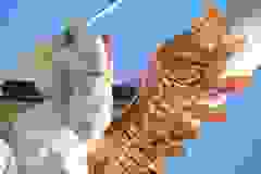 Dokončení Mariánského sloupu 19