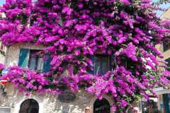 Sirmione 3