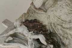 Pouť sv. Petra a Pavla 17