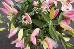 Výstava lilií 3 Výstava lilií 3