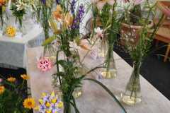 Výstava lilií 6 Výstava lilií 6