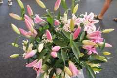 Výstava lilií 1 Výstava lilií 1