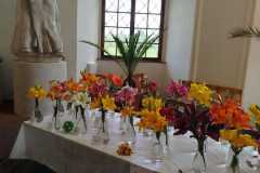 Výstava lilií 4 Výstava lilií 4