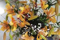 Výstava lilií 7 Výstava lilií 7