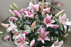 Výstava lilií 9 Výstava lilií 9