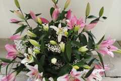 Výstava lilií 11 Výstava lilií 11