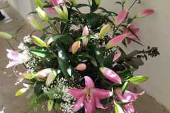 Výstava lilií 12 Výstava lilií 12