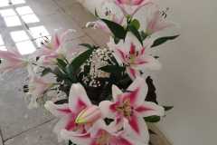 Výstava lilií 13 Výstava lilií 13