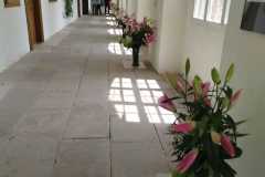 Výstava lilií 15 Výstava lilií 15