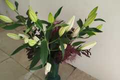 Výstava lilií 16 Výstava lilií 16