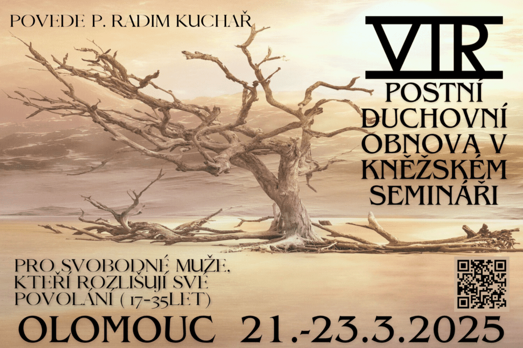Plakát - suchý strom