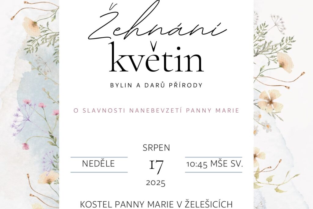 Plakát - květiny