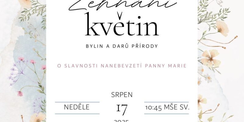Plakát - květiny