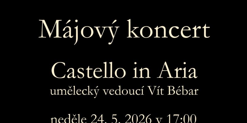 Plakát - květ třešně
